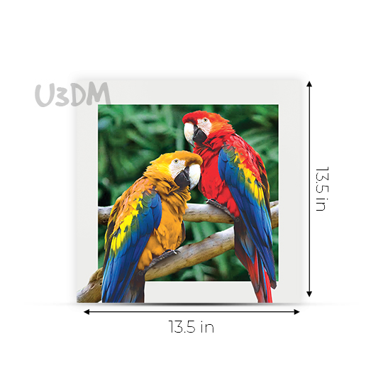 Ultra Scarlet Macaw Parrot Printed 5D Effect Wall Art Poster Picture Photo