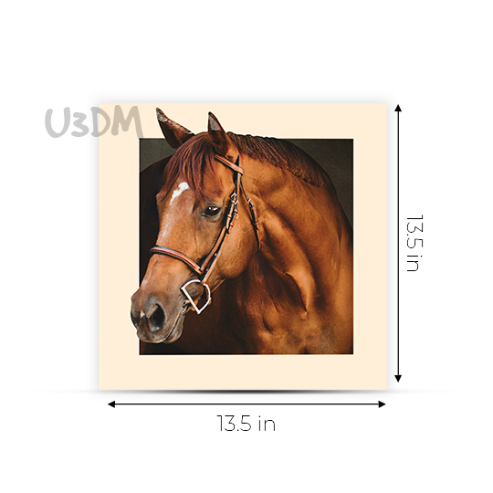 Ultra Horse Printed 5D Effect Wall Art Poster Picture Photo