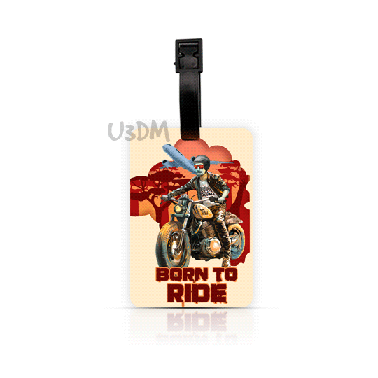 Ultra Ride Air Balloon 3D Lenticular Suitcase Luggage Bag Label ID Tags Set of 2