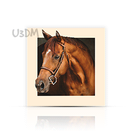 Ultra Horse Printed 5D Effect Wall Art Poster Picture Photo