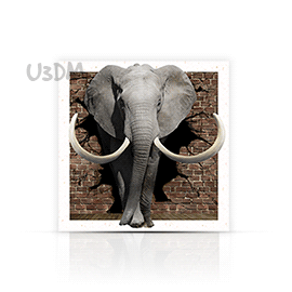 Ultra African Elephant Printed 5D Effect Wall Art Poster Picture Photo